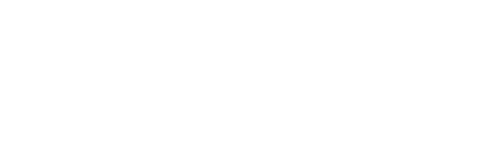 Insureteach srl